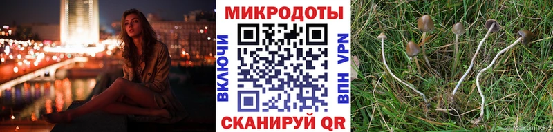 Галлюциногенные грибы Cubensis Кореновск