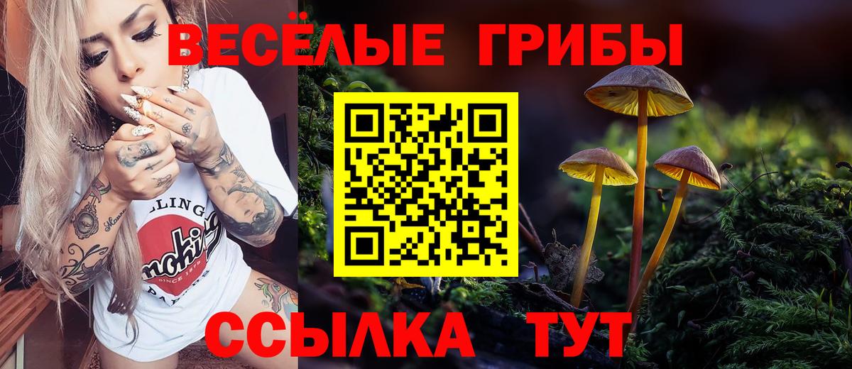 Псилоцибиновые грибы Psilocybe  Псилоцибиновые грибы GOLDEN TEACHER  Вход с VPN  Кореновск 