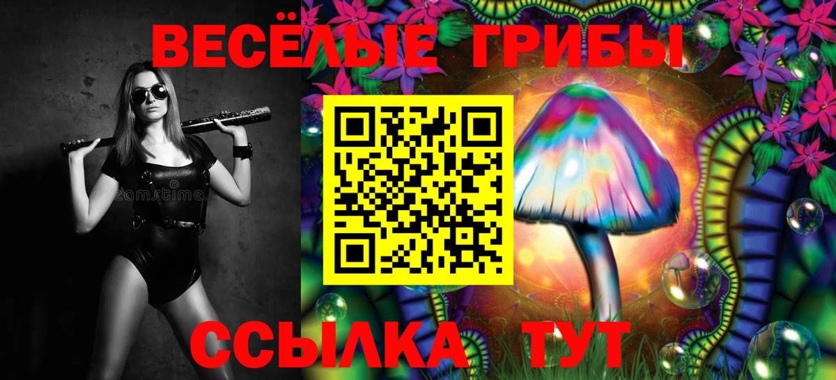 Псилоцибиновые грибы ЛСД Кореновск